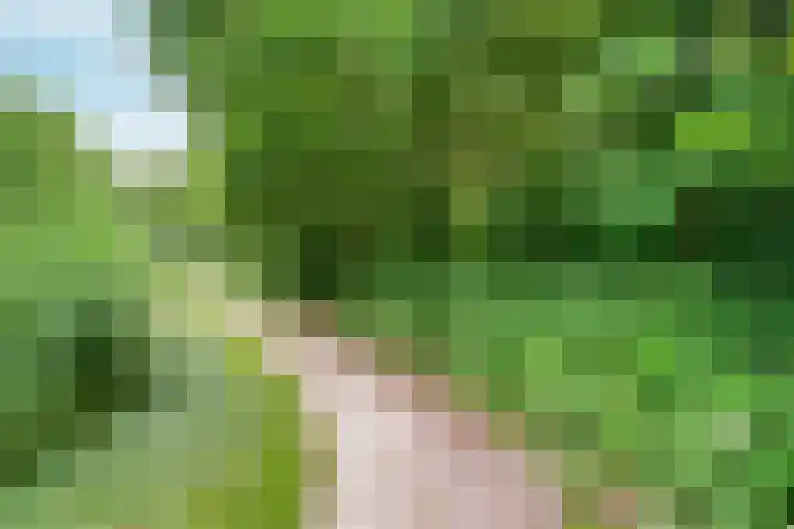 Windstilte 443 De Meern thumbnail 28