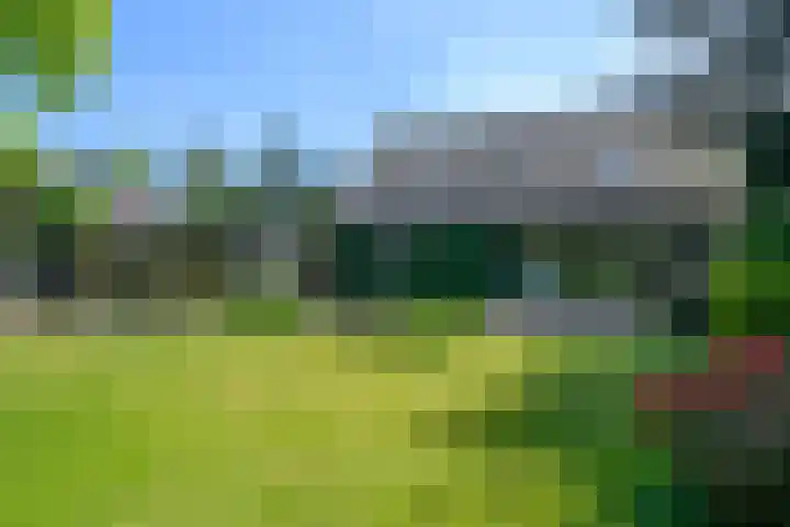 Windvleugel 33 Malden thumbnail 37