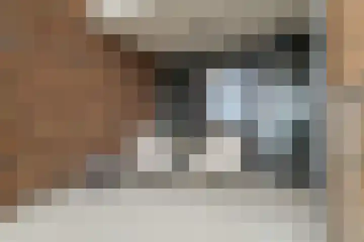 Windvleugel 33 Malden thumbnail 4