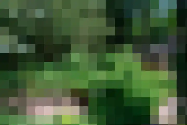 Windvleugel 33 Malden thumbnail 42