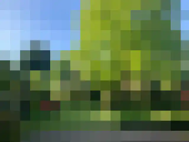 Windvleugel 33 Malden thumbnail 45