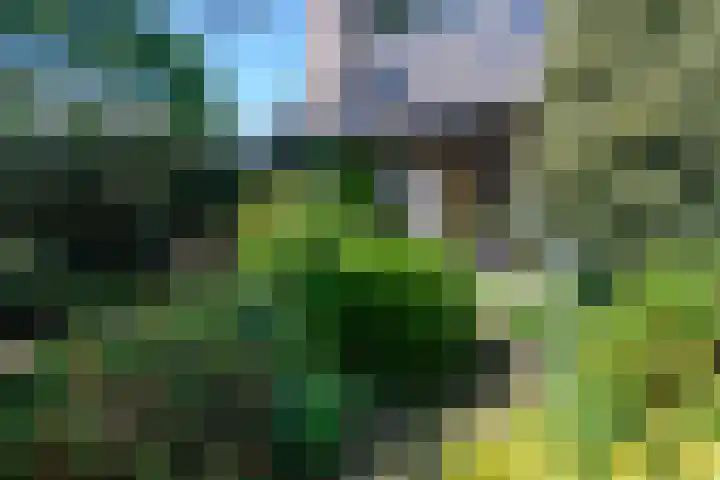 Windvleugel 33 Malden thumbnail 46
