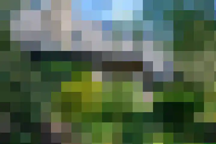 Windvleugel 33 Malden thumbnail 47