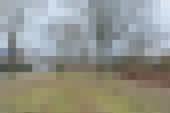 Windvorst 21 Hoofddorp thumbnail 32