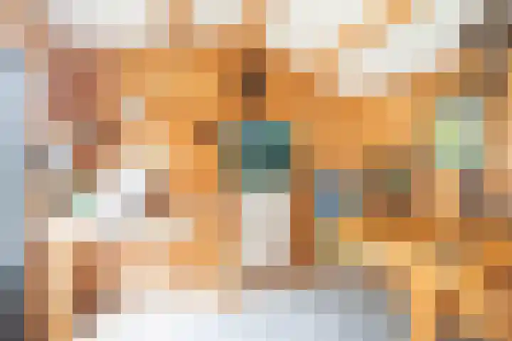 Windvorst 21 Hoofddorp thumbnail 4