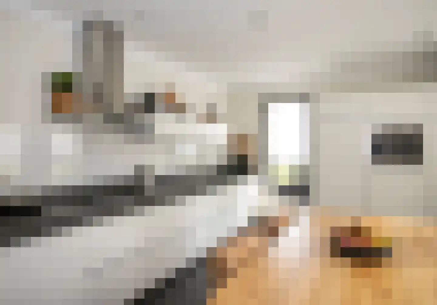 Windwijzer 2 Nistelrode thumbnail 7