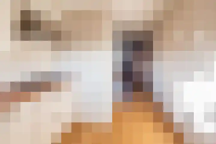 Wingerd 23 Ulft thumbnail 20