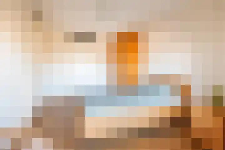 Wingerd 23 Ulft thumbnail 27