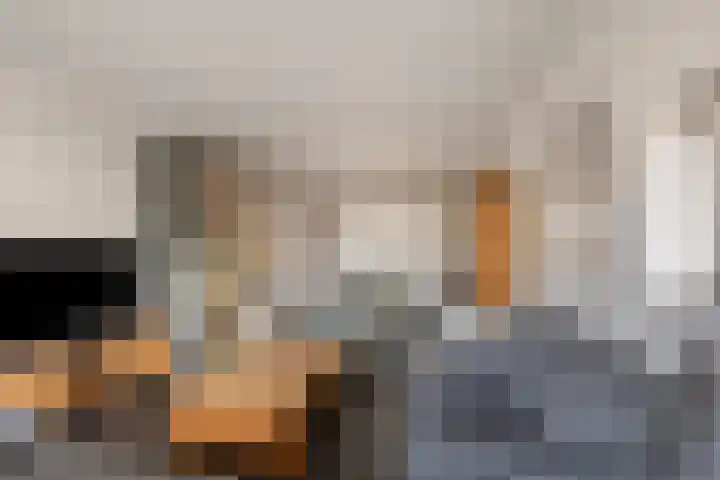 Wingerd 3 Schaijk thumbnail 13