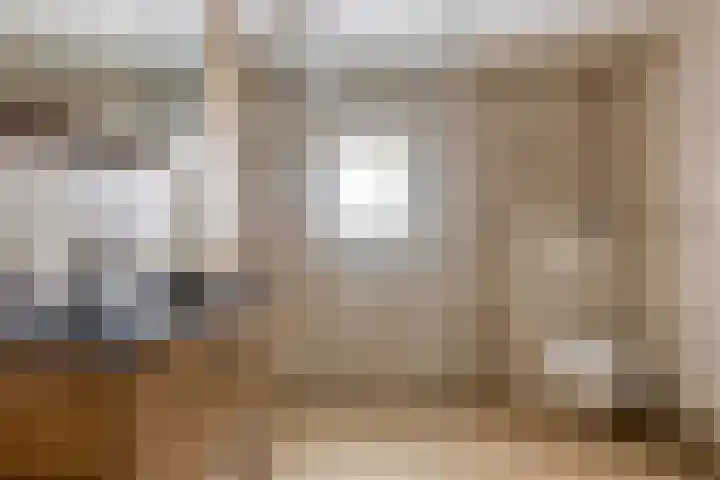 Wingerd 3 Schaijk thumbnail 23