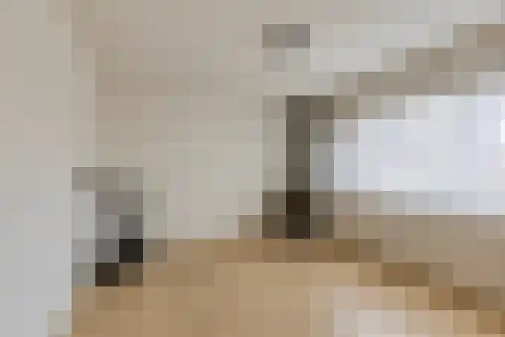 Wingerd 3 Schaijk thumbnail 27