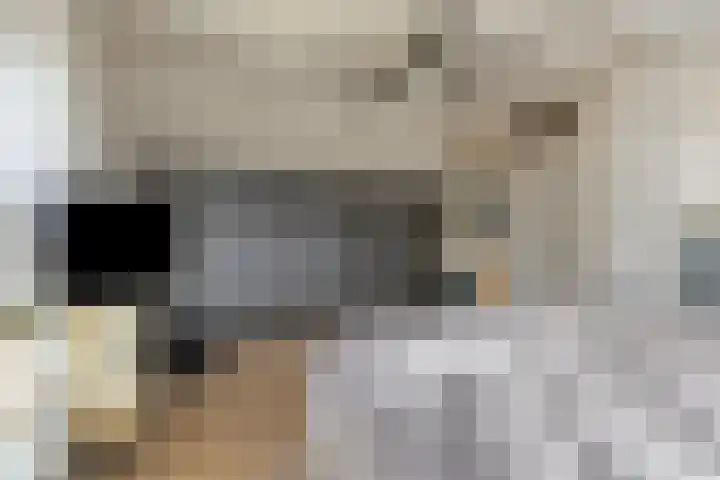 Wingerd 3 Schaijk thumbnail 32