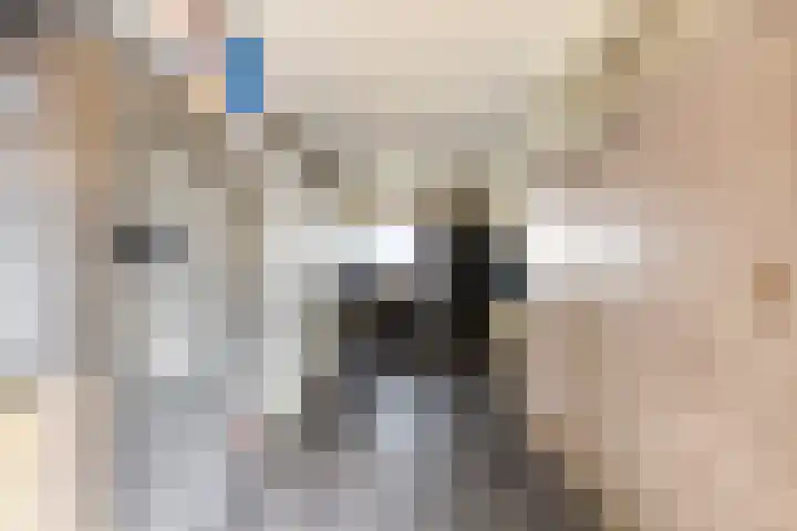 Wingerd 3 Schaijk thumbnail 33