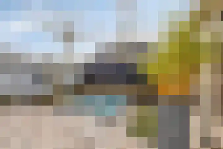 Wingerd 3 Schaijk thumbnail 36