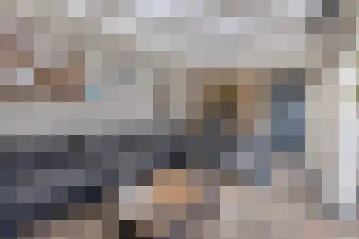 Wingerd 3 Schaijk thumbnail 37