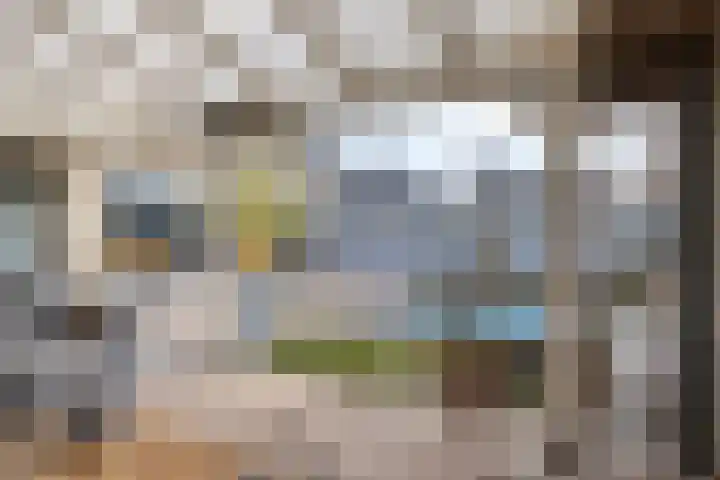 Wingerd 3 Schaijk thumbnail 38