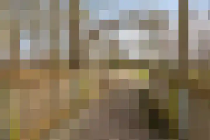 Wingerd 3 Schaijk thumbnail 42