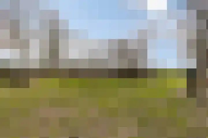 Wingerd 3 Schaijk thumbnail 43