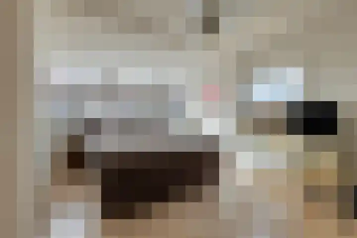 Wingerd 3 Schaijk thumbnail 6