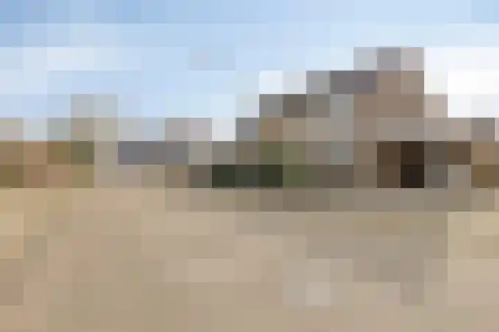 Wingerd 3 Schaijk thumbnail 9