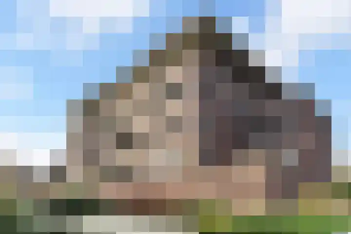 Wingerd 34 Den Haag thumbnail 32
