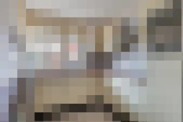 Wingerd 4 Ulft thumbnail 11