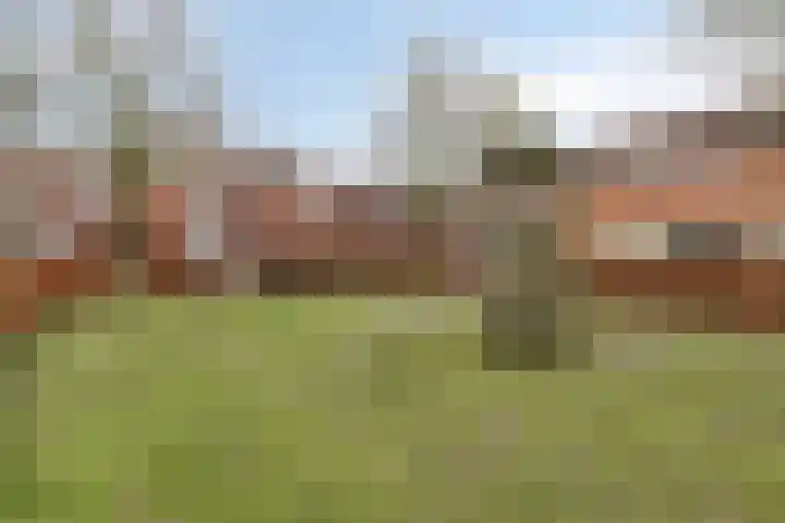 Wingerd 4 Ulft thumbnail 25