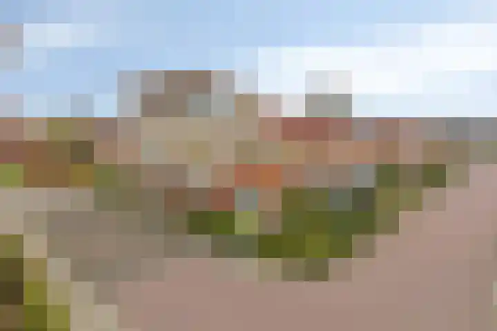 Wingerd 4 Ulft thumbnail 26