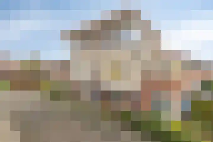 Wingerd 4 Ulft thumbnail 28