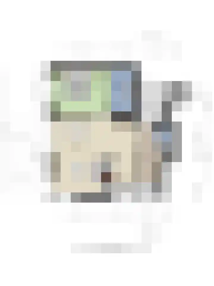 Wingerd 4 Ulft thumbnail 31