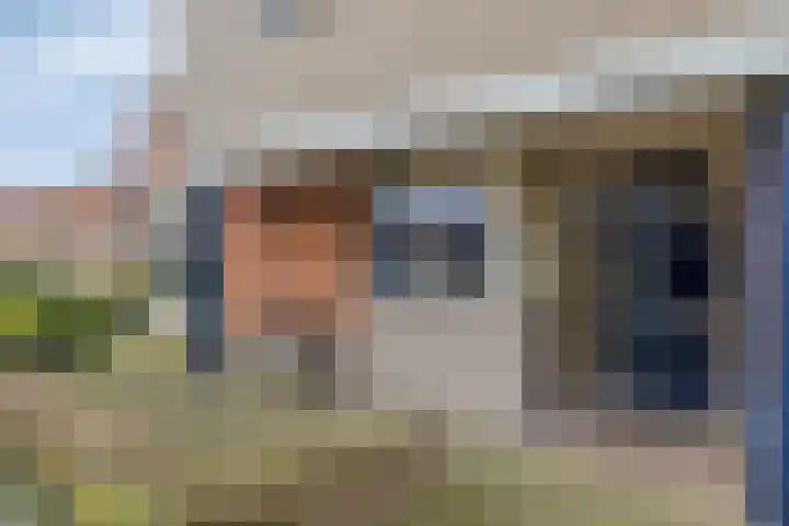 Wingerd 4 Ulft thumbnail 8