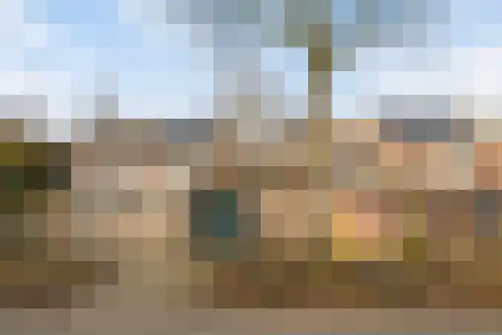 Wingerd 61 Schaijk thumbnail 42