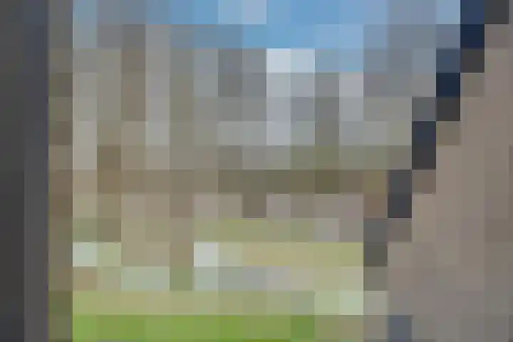 Wingerdpark 28 Zoetermeer thumbnail 11