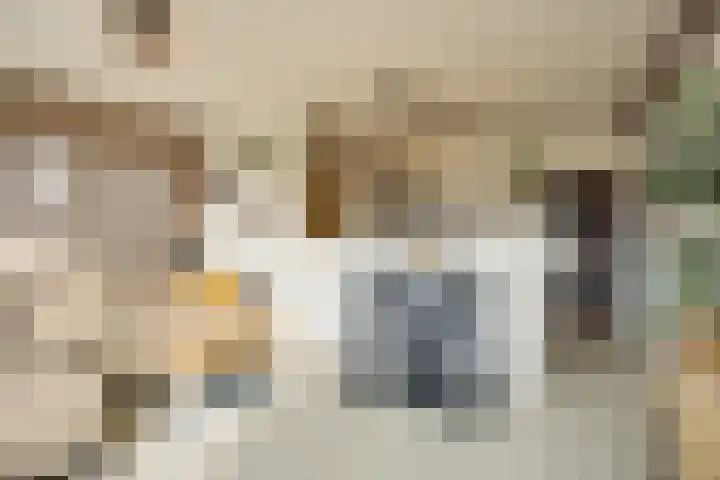 Wingerdpark 28 Zoetermeer thumbnail 24