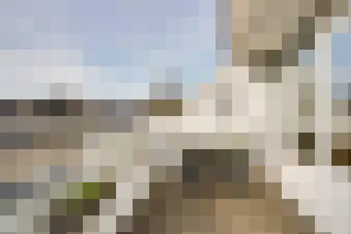 Wingerdpark 28 Zoetermeer thumbnail 26