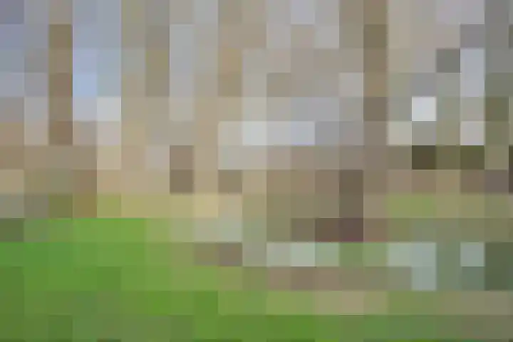 Wingerdpark 28 Zoetermeer thumbnail 32