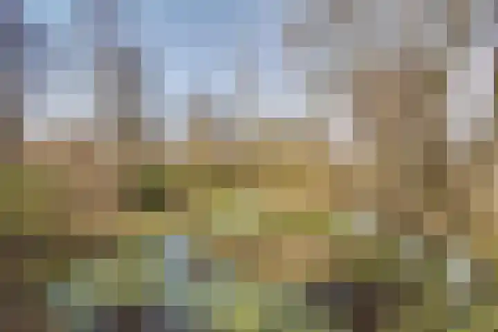 Wingerdpark 28 Zoetermeer thumbnail 33