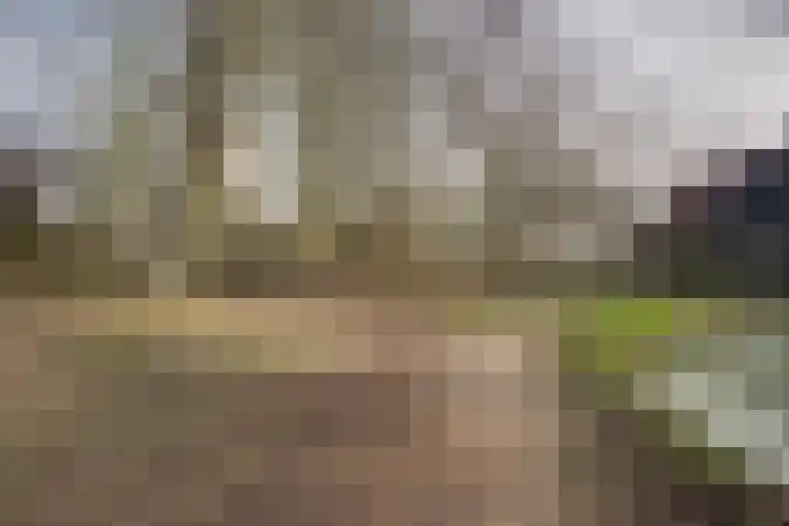 Wingerdpark 28 Zoetermeer thumbnail 34