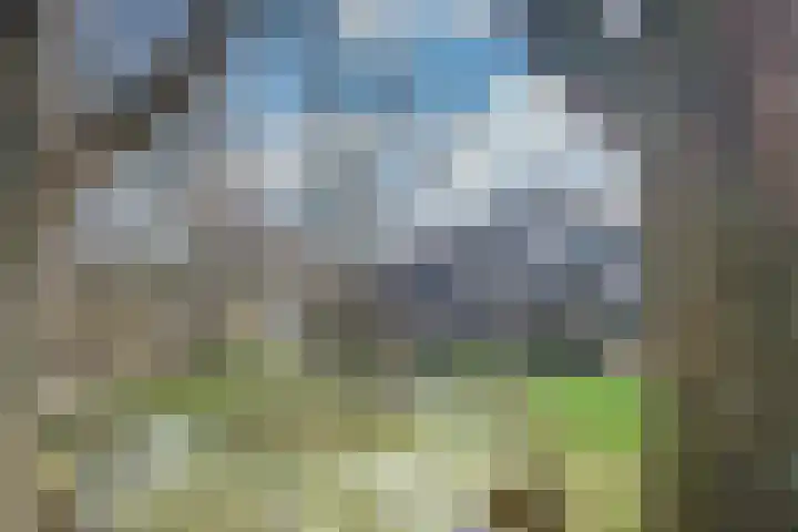 Wingerdpark 28 Zoetermeer thumbnail 35