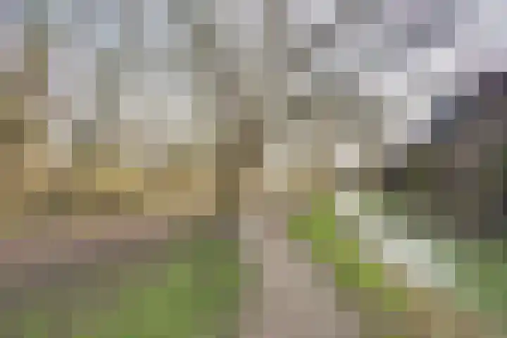 Wingerdpark 28 Zoetermeer thumbnail 36