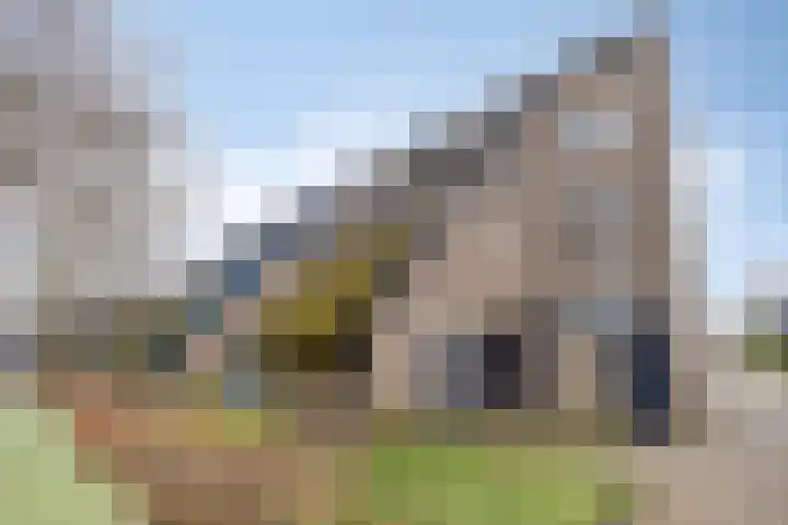 Wingerdpark 78 Zoetermeer thumbnail 39