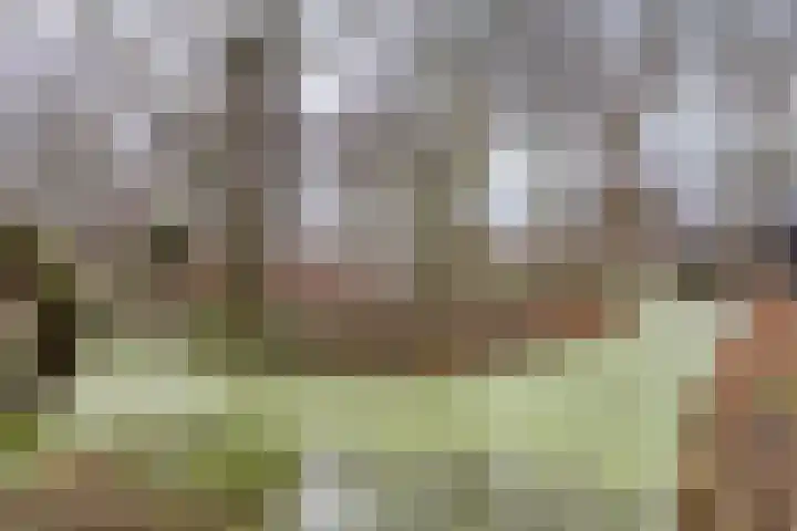 Wingerdpark 78 Zoetermeer thumbnail 44