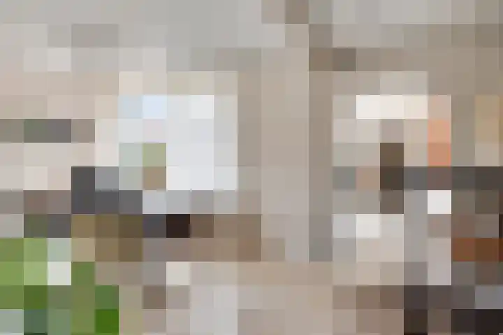 Wingerdstraat 28 Heythuysen thumbnail 8