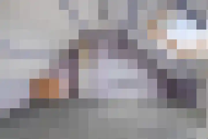 Wingerdstraat 35 Best thumbnail 23