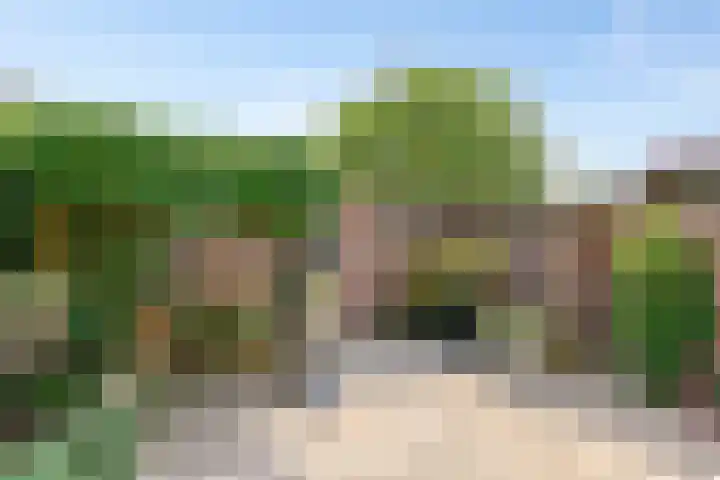Wingerdstraat 35 Best thumbnail 26