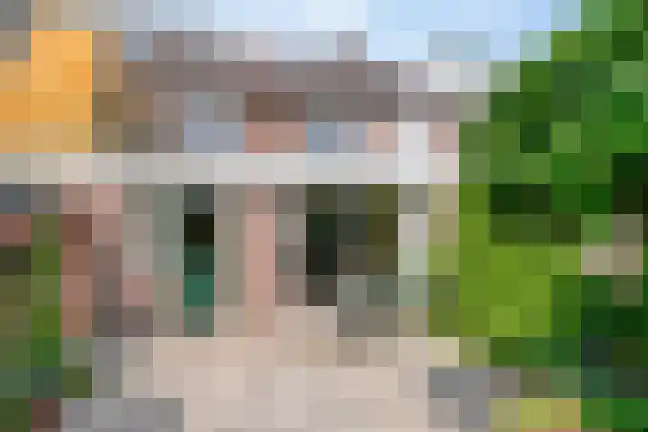 Wingerdstraat 35 Best thumbnail 27