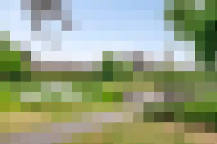 Wingerdstraat 35 Best thumbnail 31