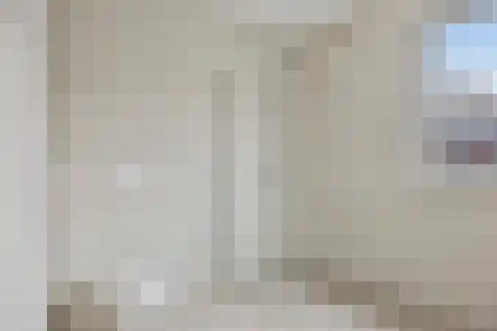 Wingtapper 1 Venhorst thumbnail 16
