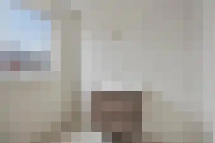 Wingtapper 1 Venhorst thumbnail 17