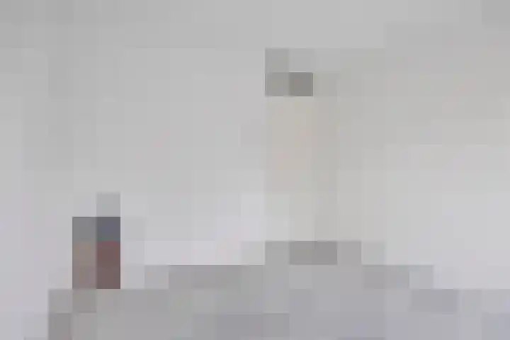 Wingtapper 1 Venhorst thumbnail 19